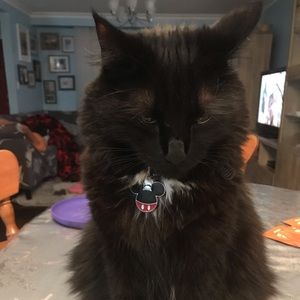 Meet your Posher, Fernanda